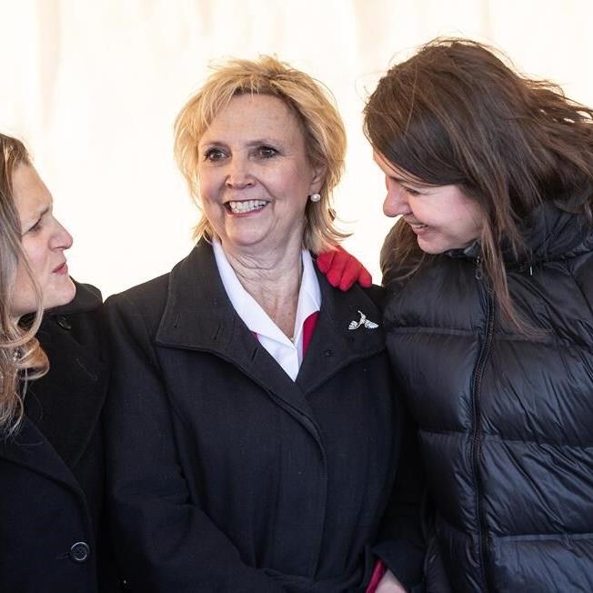 'Throw them in the river': Alberta mayor apologizes for feral cat remarks